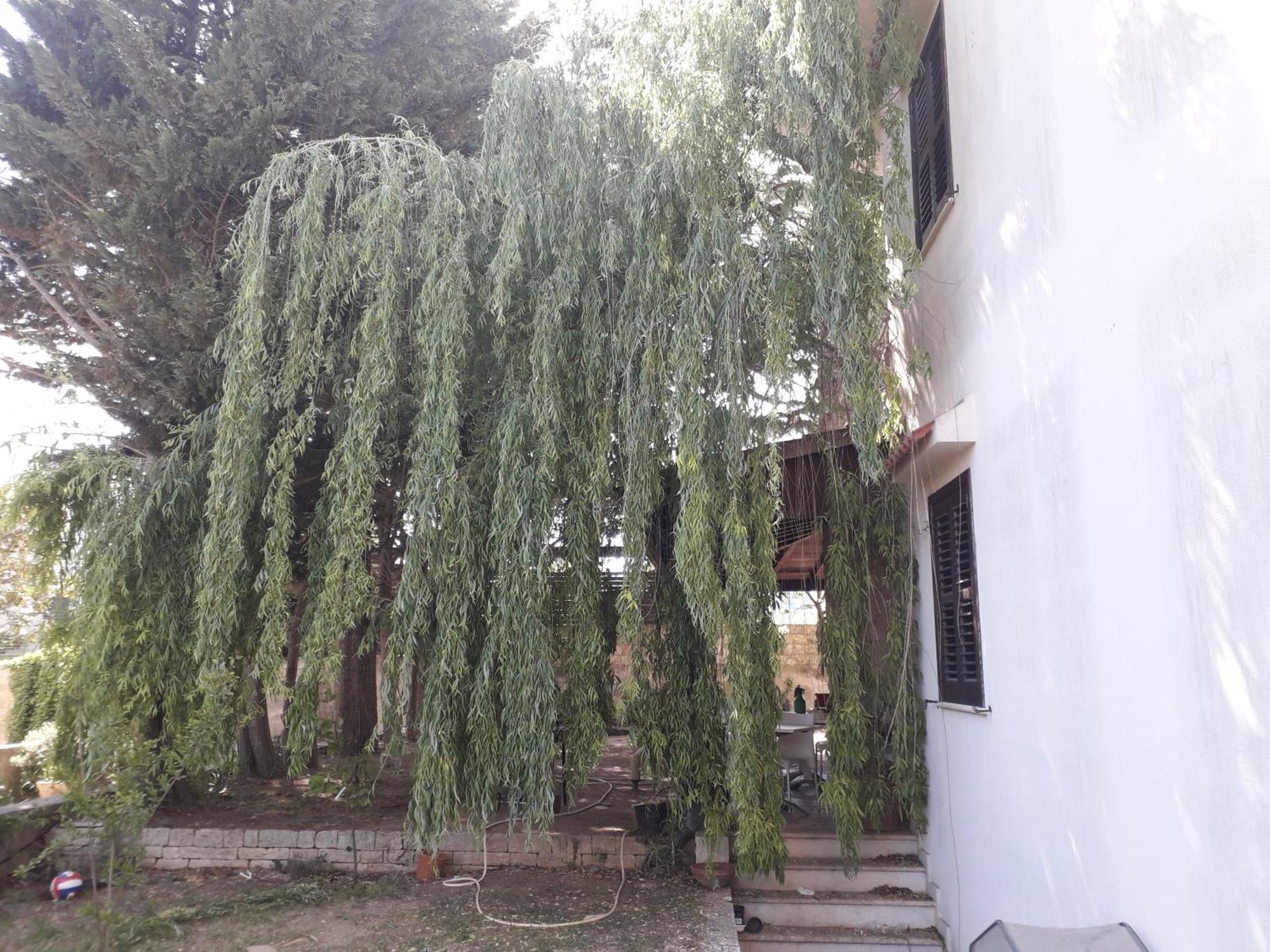 B&B Villa Victoria Ragusa Kültér fotó