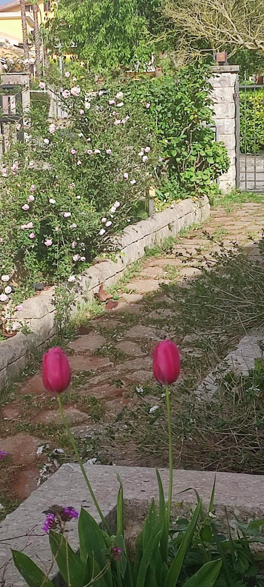 B&B Villa Victoria Ragusa Kültér fotó