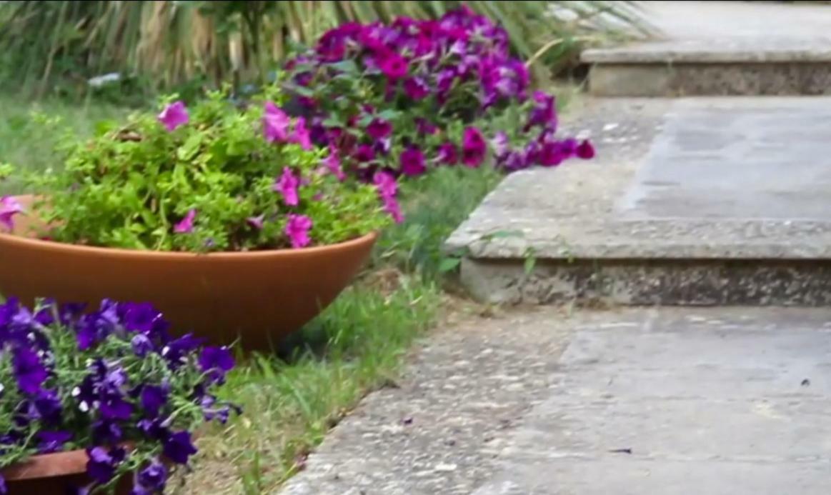 B&B Villa Victoria Ragusa Kültér fotó